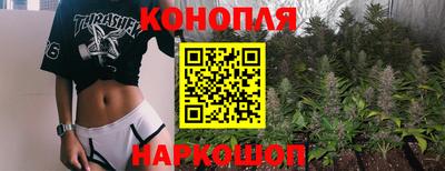 Альфа ПВП Пушкино