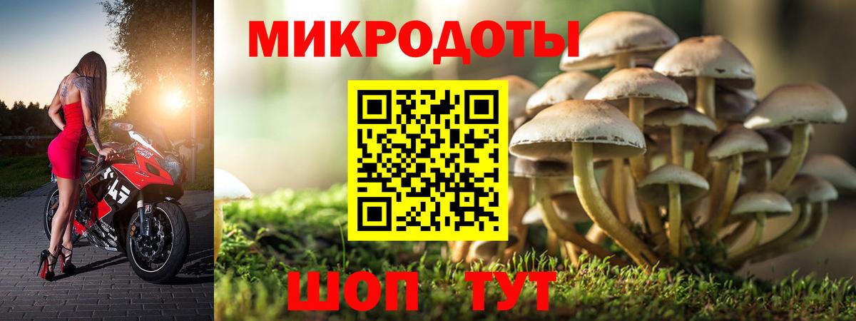 Альметьевск  Псилоцибиновые грибы Cubensis  Вход с VPN  Галлюциногенные грибы GOLDEN TEACHER 